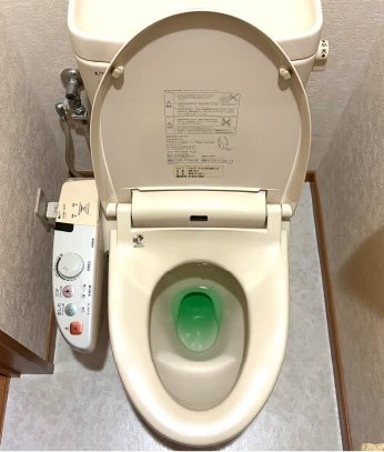施工前のトイレ